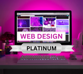 Website Design(Platinum) – Business Website