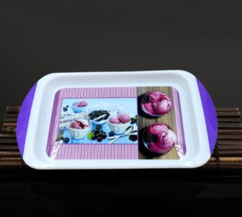 Small Plastic Tray for Kitchen and General Purpose